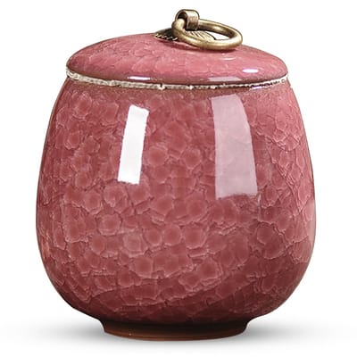 Luxe Urn 170 ML - Crematie Urn - Uniek - Voor Huisdieren of Menselijk As - Crematie As - Mini Urn - Decoratie Urn - ROOD