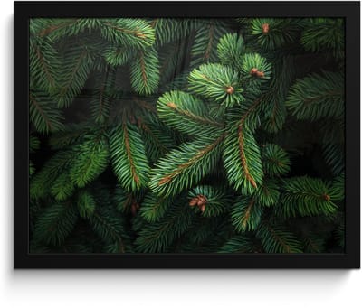 Poster in lijst - Fotolijst 40x30 cm - Posters - Sparrentakken - Knoppen - Naalden - Groen - Posterlijst zwart - Decoratie - Wanddecoratie woonkamer - Muurdecoratie slaapkamer