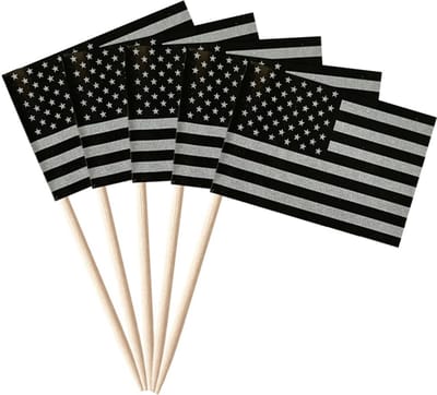 100 Stuks Zwarte Amerikaanse Vlaggen Tandenstokers voor Burgers en Feestdecoratie