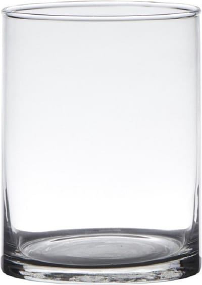 Hakbijl Glass Cilinder vaas - glas - transparant - D12 x H15 cm - Bloemen - Boeketten - Siertakken