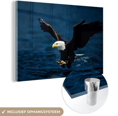 MuchoWow® Glasschilderij 60x40 cm - Schilderij acrylglas - Arend - Close up - Water - Foto op glas - Schilderijen