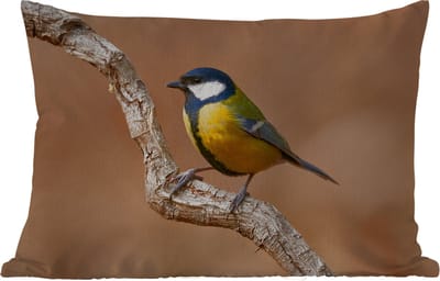 Buitenkussens - Tuin - Vogel - Koolmees - Takken - 50x30 cm