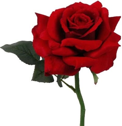 Top Art Kunstbloem Roos de luxe - 1x - rood - 30 cm - kunststof steel - decoratie bloemen