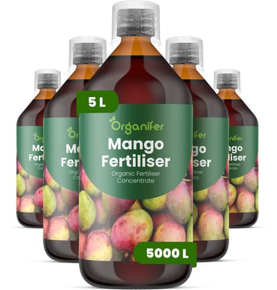 Vloeibare Meststof Voor Mango 5X1 L Voor 5000 L - Npk 2-1-8 - Bevordert Sterke Bladgroei En Structurele Ontwikkeling - Verbetert Bloei - Vruchtzetting En De Zoetheid - Verbetert De Vitaliteit Op De Lange Termijn - Organifer