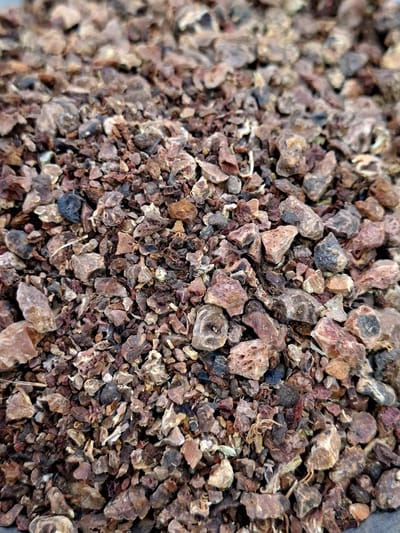 Bloedwortel (Potentilla erecta) 100g