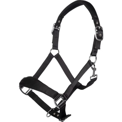 Halster voor paarden HKM Catherine