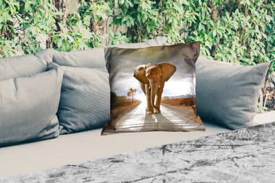 Buitenkussen Weerbestendig - Olifant - Weg - Dieren - Zonsondergang - Landschap - 50x50 cm