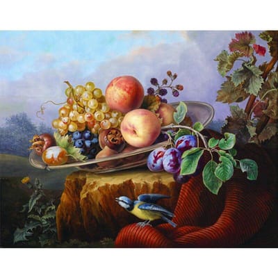 Broderie Diamant Cercle Peinture Diamant Strass Cristal Peinture Fruit et Oiseau Décoration Maison 20X30CM gray