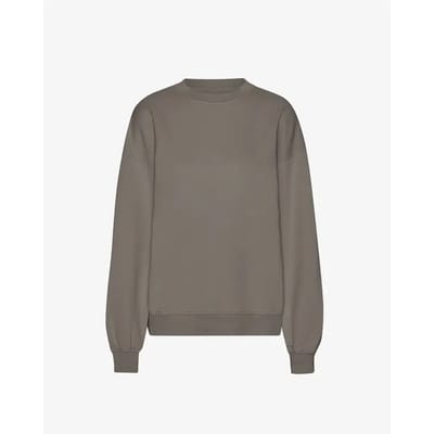 Oversized sweatshirt Colorful Standard Misty Brown