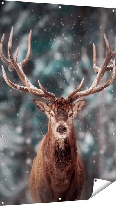 Gards Tuinposter Hertenkop - Hert in de Sneeuw - 100x150 cm - Tuindoek - Tuindecoratie - Wanddecoratie buiten - Tuinschilderij