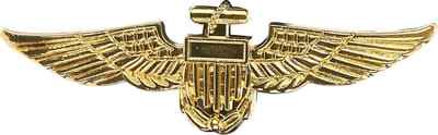 Gouden broche vliegenier