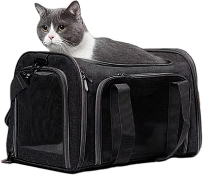 Transporttas Huisdieren - Reistas Kat Hond - Veilig Reizen - Verbeterde Luchtcirculatie - 45 x 37 x 8.8 cm - Zwart