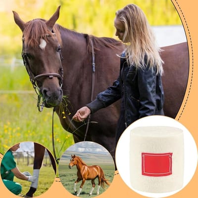 Paarden Zwachtels - Beenbeschermers Paard - Sport & Training - Ademend Materiaal - 4 Stuks - Wit Blauw