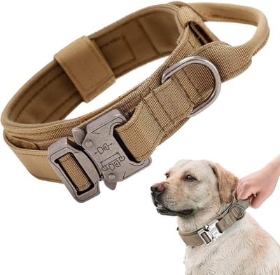 Tactische hondenhalsband, verstelbare halsband met controlegreep, gevoerde hondenhalsband breed, metalen gesp, nylon hondenhalsband voor middelgrote en grote honden, training, jacht (XL