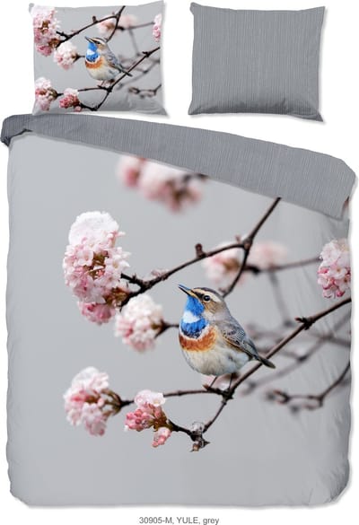 Pure dekbedovertrek blauwborst vogel - 2 persoons 200x200/220 cm - Grijs - Microvezel