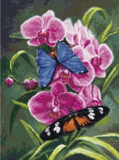 Luca-S Nature’s Poetry borduren (pakket) B7010