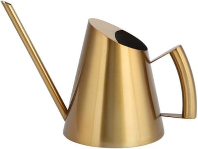 RVS Gieter met Lange Watermond voor Tuin en Planten - 900ml