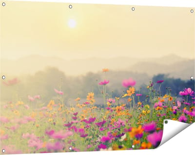 Gards Tuinposter Bloemenveld met Kosmos - Zonsondergang - 120x80 cm - Tuindoek - Tuindecoratie - Wanddecoratie buiten - Tuinschilderij