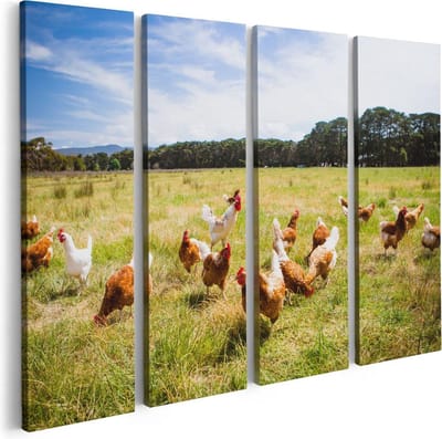 Artaza Canvas Schilderij Vierluik Kippen in het Gras - 80x60 - Foto Op Canvas - Canvas Print