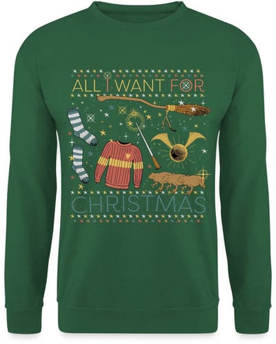 Harry Potter All I Want For Christmas Kerstmis Sweater Heren