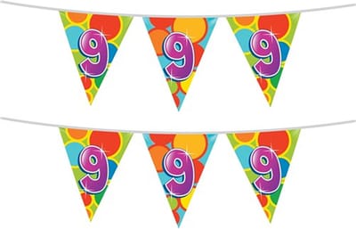 Haza Vlaggetjes 9 jaar - leeftijd verjaardag - 2x stuks - plastic 10m