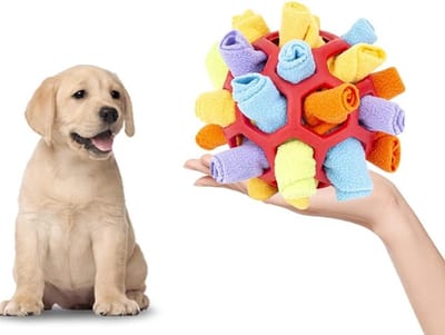 Honden Snuifbal - Interactieve Bal - Mentale Stimulatie - Verborgen Snacks - 1 eenheid - Blauw