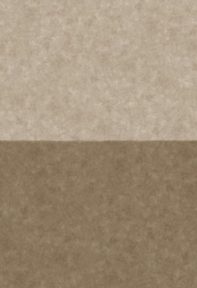 Boråstapeter Vliesbehang 5091 - Chalk - Hotel Chique Taupe - 45cm x 2.65m
