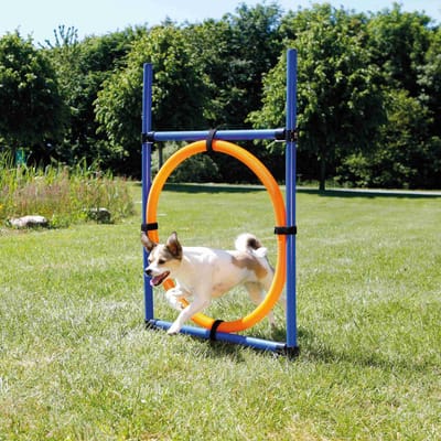 Trixie Fun Agility Ring - Verstelbare trainingshoepel voor honden