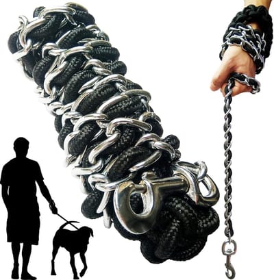 Sterke Hondenriem met Metalen Ketting en Anti-Bijt Eigenschappen voor Training en Wandelen van Middelgrote en Grote Honden (Zilver, Groot)