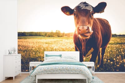 Behang - Fotobehang Koe - Zonsondergang - Bloemen - Gras - Dieren - Breedte 420 cm x hoogte 280 cm