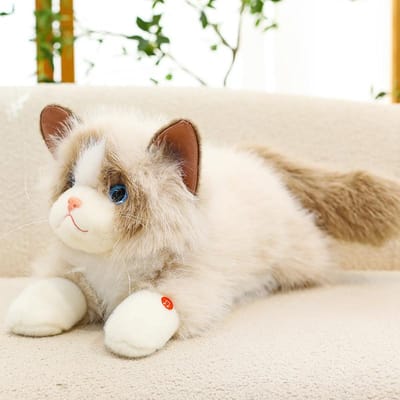 Levensechte Ragdoll Kat Pluche Speelgoed 4 Stijlen Pluizig Liggend Zacht Warm Gezellig Sierkussen Kindermaatje Huisdecoratie 45cm