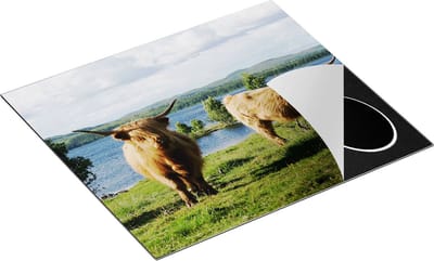 Chefcare Inductie Beschermer Twee Schotse Hooglanders bij het Water - 60x50 cm - Afdekplaat Inductie - Kookplaat Beschermer - Inductie Mat