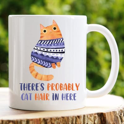 There is probably cat hair here Oranje Kat- Valentijn cadeautje voor hem - Valentijn cadeautje voor haar - Valentijnsdag - Verjaardag cadeau - Cadeau voor man - Cadeau voor vrouw - Grappige cadeaus - Mokken - Moederdag cadeautje - Schattig