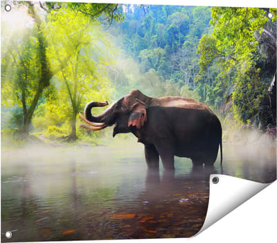 Gards Tuinposter Olifant in het Water - 80x60 cm - Tuindoek - Tuindecoratie - Wanddecoratie buiten - Tuinschilderij
