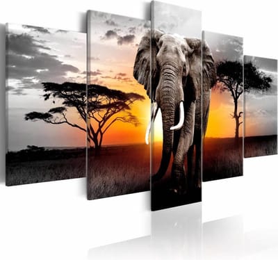 Schilderij - Olifant voor Zonsondergang , grijs oranje , 5 luik
