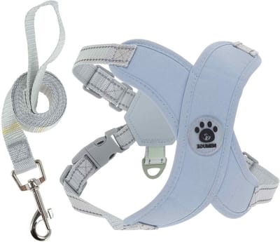 Verstelbaar hondentuigje met hondenriem, ademend anti-trek harnas voor middelgrote honden en puppy's, L, blauw