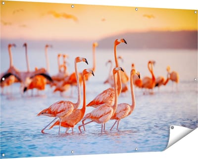 Gards Tuinposter Kudde Flamingo's in het Water - 150x100 cm - Tuindoek - Tuindecoratie - Wanddecoratie buiten - Tuinschilderij