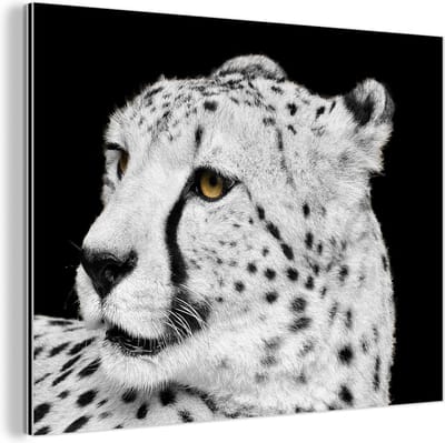 Wanddecoratie Metaal - Aluminium Schilderij Industrieel - Luipaard - Wit - Zwart - 80x60 cm - Dibond - Foto op aluminium - Industriële muurdecoratie - Voor de woonkamer/slaapkamer