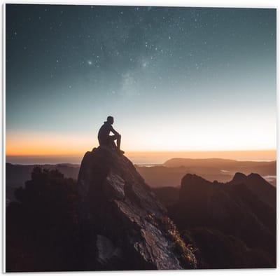Forex - Silhouette Man op Rots - 50x50cm Foto op Forex