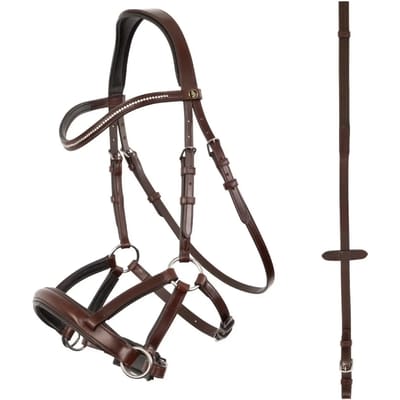 Anatomische hoofdstellen BR Equitation Lewes
