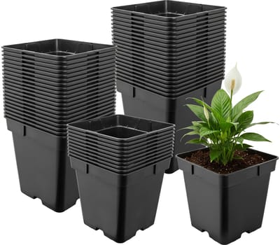 Garronda Set van 50 vierkante kunststof kweekpotten met drainagegaten voor tuin (Zwart, 18 x 18 x 18 cm (4L)) GD-KW-S