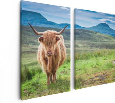 Artaza Canvas Schilderij Tweeluik Schotse Hooglander In De Wei - Kleur - 80x60 - Foto Op Canvas - Canvas Print