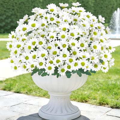 6 Stuks Kunstmatige Margrieten Bloemen voor Buiten - UV-bestendige Nepp bloemen voor Tuin, Bruiloft en Thuisdecoratie (Wit)