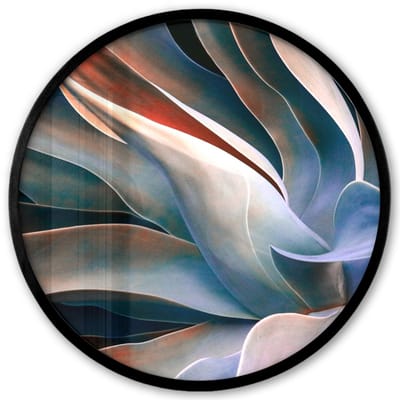 Poster in lijst Rond - Fotolijst 40x40 cm - Posters - Bladeren - Natuur - Stilleven - Blauw - Ronde posterlijst zwart - Decoratie - Wanddecoratie woonkamer - Muurdecoratie slaapkamer