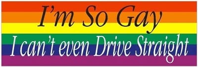 GoedeDoelen.Shop | Auto Sticker I'm So Gay | Autosticker | LGBTQ Sticker | Gay | Scootersticker | Fietssticker | Weerbestendig | Afmeting ca: 14 x 4,5 CM | LGBTQ Humor | Pride | Rainbow | Regenboog