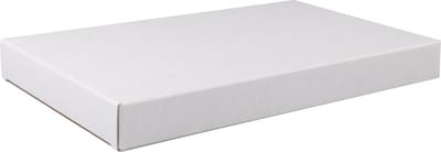 Brievenbusdoos 160x28x255mm 50 stuks WIT