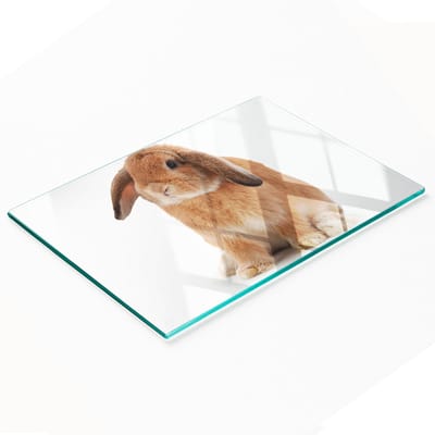 Decoratieve glazen snijplank voor in de keuken, rood konijn, 80x52 cm