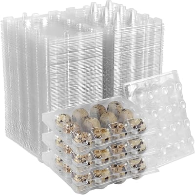 100 Stuks Quail Egg Dozen Boxen met Dekkende Plastic Deksel - Transparante Opbergdozen voor Eieren