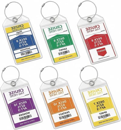 Kofferhangers voor cruises en vliegreizen, 6-delige set XXL waterdicht met stalen ring, ideaal voor bagage-identificatie en boarding 19 x 11 cm