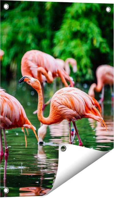 Gards Tuinposter Kudde Flamingo's in de Jungle in het Water - 40x60 cm - Tuindoek - Tuindecoratie - Wanddecoratie buiten - Tuinschilderij